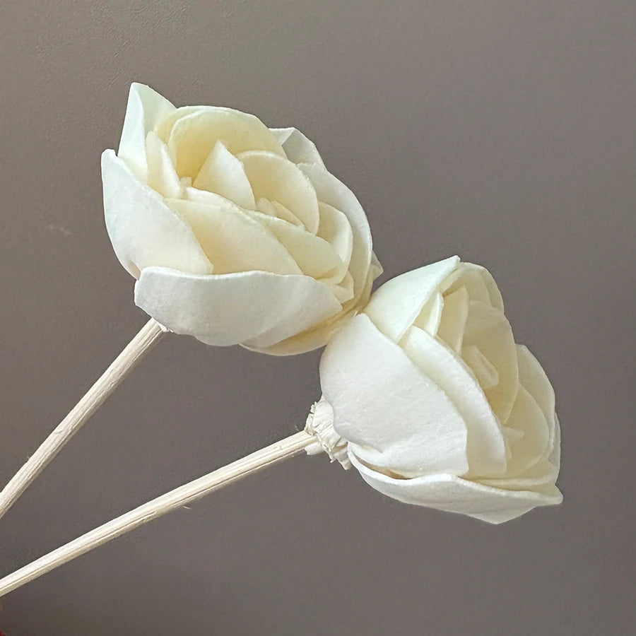 AROMATHERAPIE DIFFUSER STICKS – NATUURLIJKE ROTAN EN JASMIJN